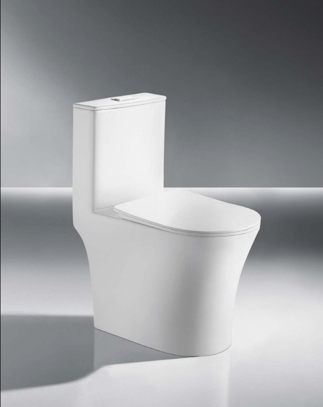 PAhome white ceramic one-piece toilet with sleek dual-flush tank for water efficiency