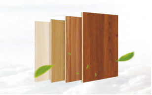 E1 envireonmental board